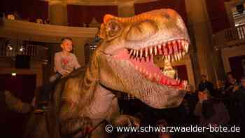 Show in der Stadthalle: Die Dinos kommen nach Nagold