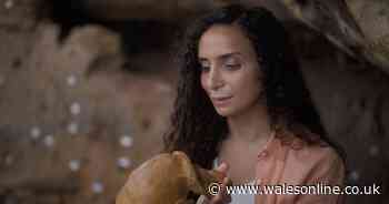 BBC will showcase 'mind-boggling' truth about humanity in huge TV first