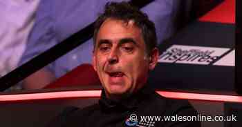 Steve Davis dubbed Ronnie O'Sullivan 'weird' and said he can't understand him – 'Stupid'