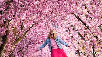 Are you flourishing? Many young adults aren't, new study suggests