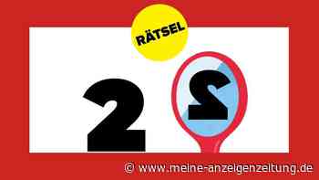 Rätsel: Spieglein, Spieglein im Matheunterricht, welche Zahl verändert sich nicht?