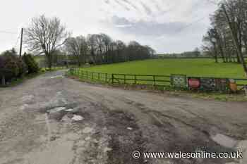 28 people fall ill after feeding animals at Welsh attraction