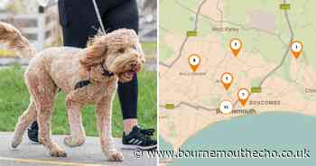 Where dangerous parasite that can be fatal to dogs has been reported in BCP