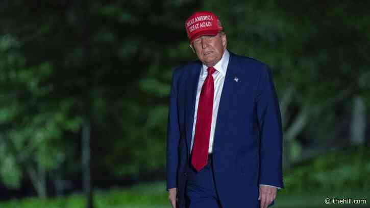 More Americans say Trump going too far on deportations: Poll