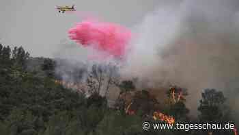 Schwere Waldbrände wüten bei Jerusalem
