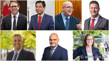 'Bogeyman' Donald Trump influenced voters in Hamilton and Niagara, say winning candidates