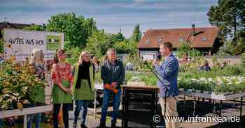 Bamberg: Tag der offenen Gärtnereien zieht Tausende Besucher an