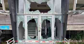 In pictures: Damage caused after 'mindless' vandalism at RSPB nature reserve