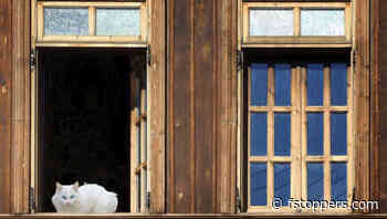 Fstoppers Photographer of the Month (April 2025): Eden Antho