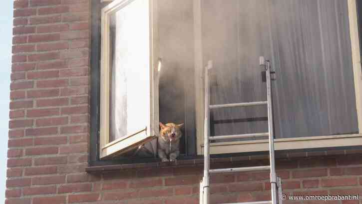 Moeder en zoontje (2) nog in ziekenhuis na verwoestende brand in huis
