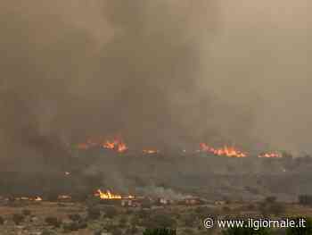 Incendi a Gerusalemme. E Hamas chiama la jihad dei roghi: "Bruciate le case" | La diretta
