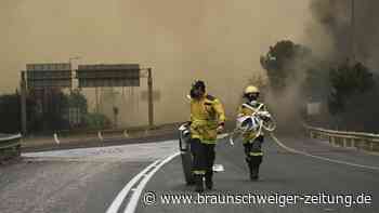 Waldbrände nahe Jerusalem – höchste Alarmstufe ausgerufen