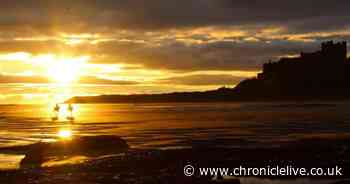 Pristine Northumberland beach with golden sands named one of UK's best in new rankings
