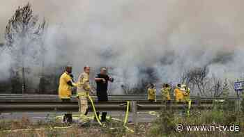 Fünf Feuer nahe Jerusalem: Italien und Kroatien helfen Israel im Kampf gegen Waldbrände