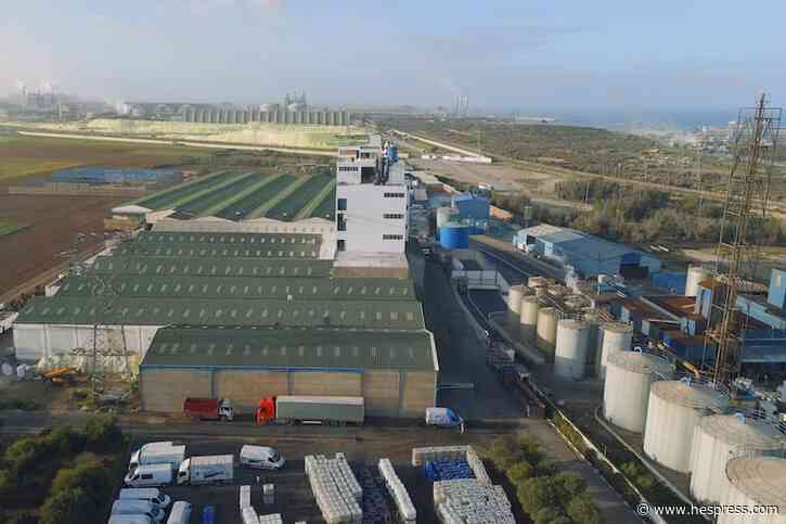 "إنوسيس".. انتماء محلي وتمكن صناعي