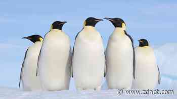 Want to run your favorite local AI models on Linux? This app makes it easy