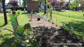 Bloemen voor de Lindelaan en de Berkendreef