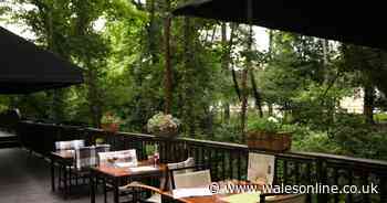 Cardiff bar hidden in a leafy, quiet corner of the city centre that's like having cocktails in the countryside