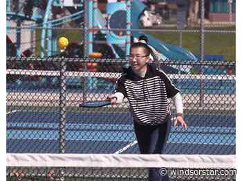 Pickleball courts, Adie Knox upgrades backed by nearly $9.9-million in OLG funds generated by Caesars Windsor