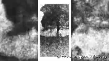 Watch: Footage ‘shows Sycamore Gap tree being chopped down’ jury told