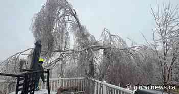 Major ice storm causes $342M in insured damages across Ontario and Quebec