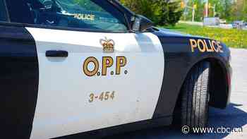 2 teens charged with conspiracy to commit murder in Lambton County