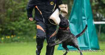 ‘Ja’, zegt de verslaggever zachtjes, dan vliegt Jens op hem af en zet zijn vlijmscherpe tanden in zijn arm