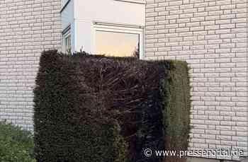 FW-DT: *Korrektur* Brennende Hecke - Anwohner verhindern Schlimmeres