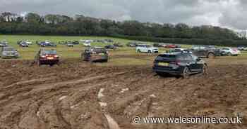 Holidaymakers' cars damaged and had 'unexplained mileage' at unauthorised airport car park