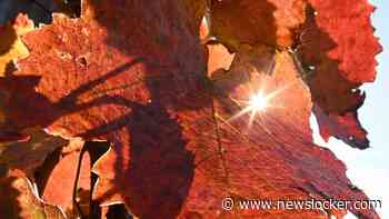 Henk Tiesma (78), mede-oprichter Radio Rijnmond, overleden