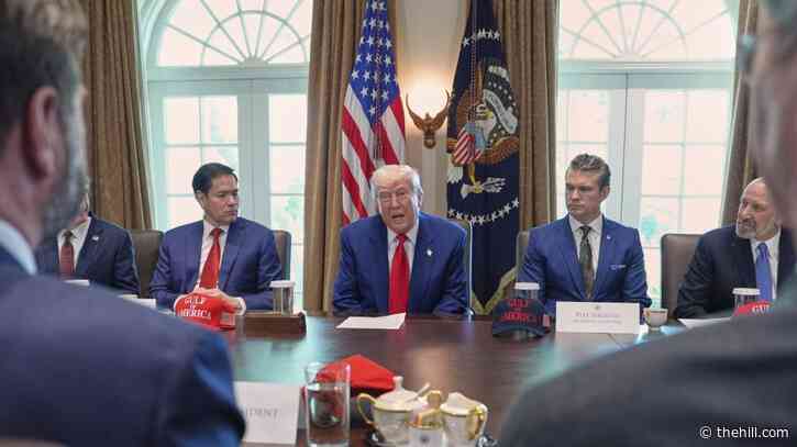 Trump says children could have '2 dolls instead of 30' with his tariff plan