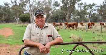 How a last-minute punt on the ponies put a down payment on a farm