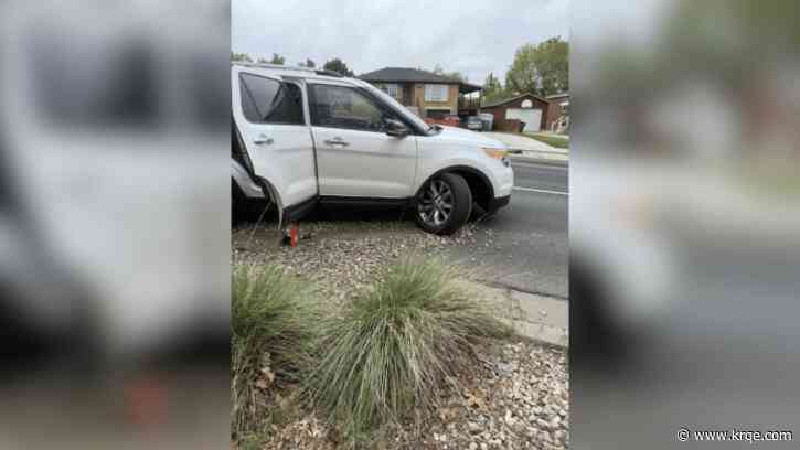 7-year-old who wanted McDonald's drove 10 miles with little sister in car