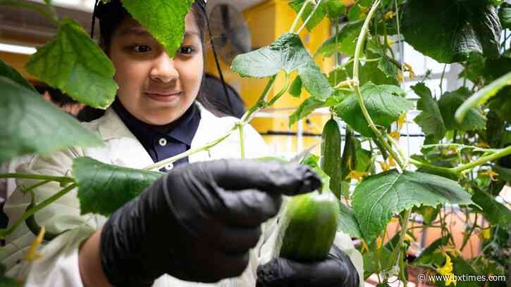 Bronx students learn about gardening and science through new hydroponic classroom