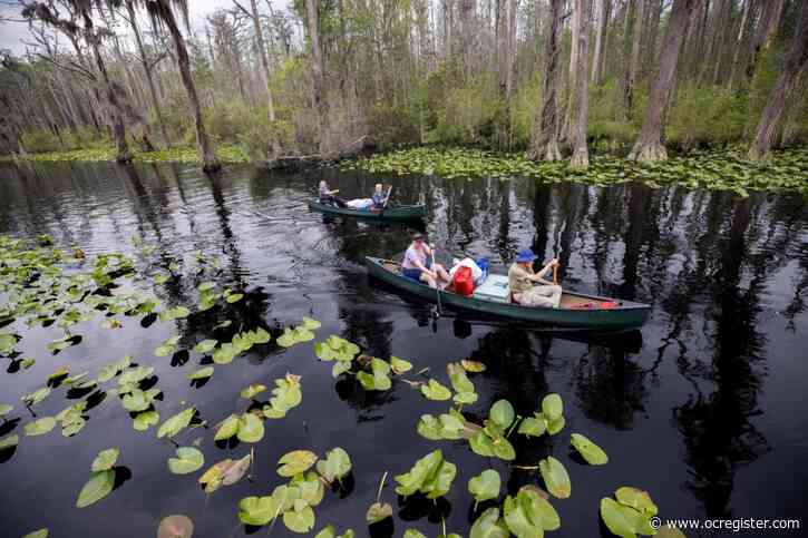 A former Trump official backs World Heritage status for the vast Okefenokee Swamp