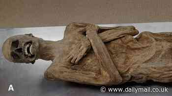 Unravelling the mystery of the Mummy of the 'Air-Dried Chaplain': Vicar who died in 1746 was exceptionally well preserved thanks to unusual embalming technique - via his rectum