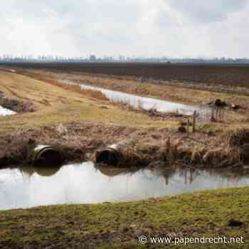 Zonder gezonde oevers geen leven: Zuid-Hollands Landschap luidt noodklok