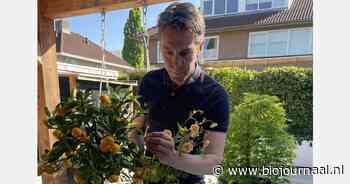 "Ik hou wel van dat schizofrene gevoel"