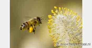 Biodynamische boeren zetten deuren open tijdens Meimaand Bijmaand