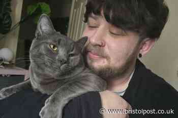 Warehouse worker films UFO 'whizzing across sky' from his garden