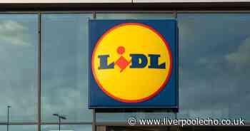 Lidl launches ready-to-drink 89p cocktails with 17 options available