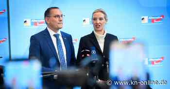AfD gesichert rechtsextrem: Was die Einstufung durch den Verfassungsschutz bedeutet