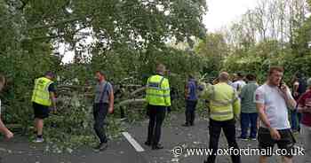 In pictures: Fallen tree results in road being closed for hours
