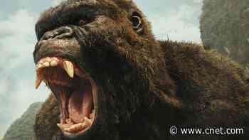 100 Men vs. 1 Gorilla: Who Wins if It's King Kong?