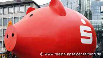Das größte Sparschwein der Welt steht in Baden-Württemberg