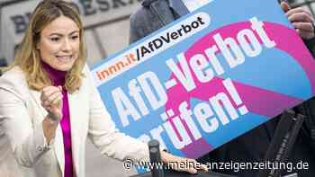 Für AfD-Verbotsverfahren: Linke will vollständigen Einblick ins Geheim-Gutachten