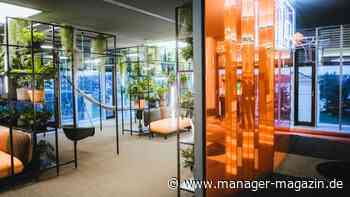 Homeoffice vs. Präsenzpflicht: Die schönsten Arbeitsorte – und was sie ausmacht