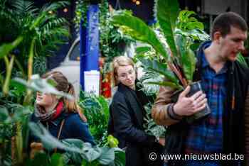 Gezinsbond organiseert plantenruil en vintagebeurs in SWOK