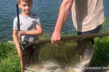 Jonge hengelaar Matteo vangt graskarper van 18 kilo in Albertkanaal: “Een echte reus”