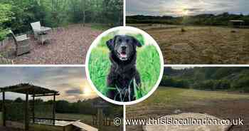 New safari-themed doggy play park in Keston opens in time for bank holiday
